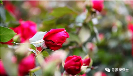 640 (1).png 640 (1).png
